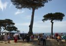 19-MusselFest-DSC09608
