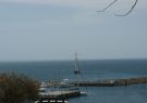 19-MusselFest-DSC09609
