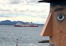 Spirit of Tasmania in Geelong