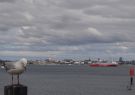 Spirit of Tasmania in Geelong