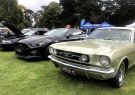2021_AllFordDay-IMG_8871