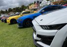 2022 Geelong Revival