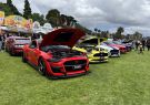 2022 Geelong Revival