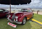2022 Geelong Revival