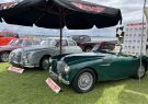 2022 Geelong Revival