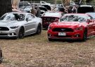 All_Ford_Day_23_IMG_3589