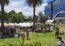 Beerfest-23_134815
