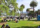 Beerfest-23_164542