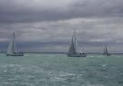 Festival_of_sails_23_DSC03110
