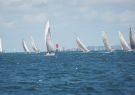 Festival_of_sails_23_DSC03168