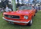 Geelong_Revival_23_IMG_4732