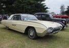 DSC03449-Queenscliff_Rod_23