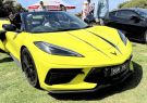 IMG_3235-Torquay_motor_show_23