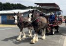 2023 Geelong Classic Truck and Machinery Show