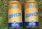 Geelong-Beer-Festival-24-IMG_5094