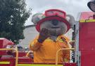 Pako_festa_2024-IMG_5433