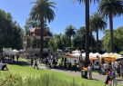 2025-geelong-beer-festival-005