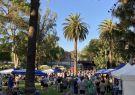 2025-geelong-beer-festival-025