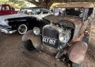 2025-queenscliff-rod-run-43