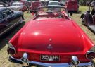 2025-queenscliff-rod-run-66