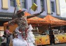 pako-festa-2026-IMG_2315