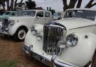 Rotary Torquay Motorshow