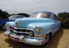 Rotary Torquay Motorshow