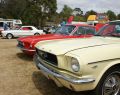 2009 All Ford Day
