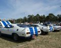 2010 All Ford Day Geelong