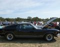 2010 All Ford Day Geelong