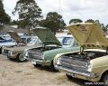All Holden Day Geelong 2009