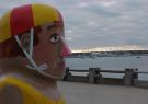 Geelong Waterfront Bollards
