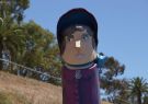 Geelong Waterfront Bollards