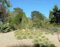 Geelong Botanical Gardens