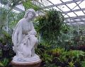 Geelong Botanical Gardens