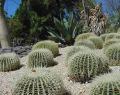 Geelong Botanical Gardens