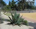 Geelong Botanical Gardens