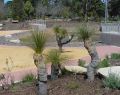 Geelong Botanical Gardens