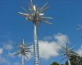 Geelong Botanical Gardens