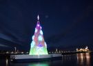 Geelong Floating Christmas Tree