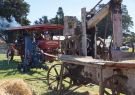 Drysdale Vintage Rally