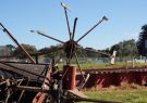 Drysdale Vintage Rally