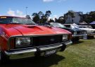 XC Falcon