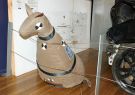 Ted the crash test roo