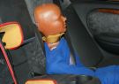 Crash Test Dummy