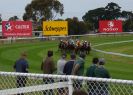 Geelong Cup - Geelong Racing Club