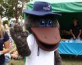 Pako Festa Geelong 2006