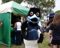 Pako Festa Geelong 2006