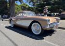 Queenscliff_rod_run_24-IMG_5213