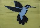 Geelong City Street Art